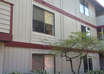 Child Window Fall