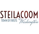 Steilacoom Town Council meeting