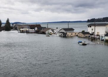 photo of homes on a flooded street on day island